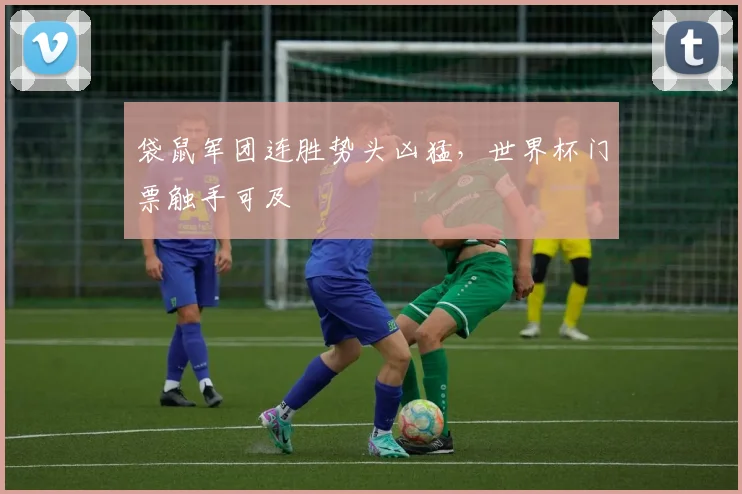 袋鼠军团连胜势头凶猛，世界杯门票触手可及 - 球天下体育推荐