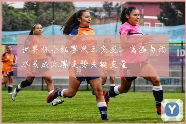 世界杯小组赛风云突变：高温与雨水或成比赛走势关键变量 - 球天下体育推荐